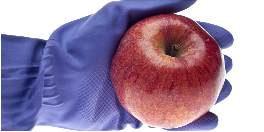 北京陸橋邀您參加2024 食品安全與檢測(cè)技術(shù)創(chuàng)新論壇，共同探討GB4789.28-2024