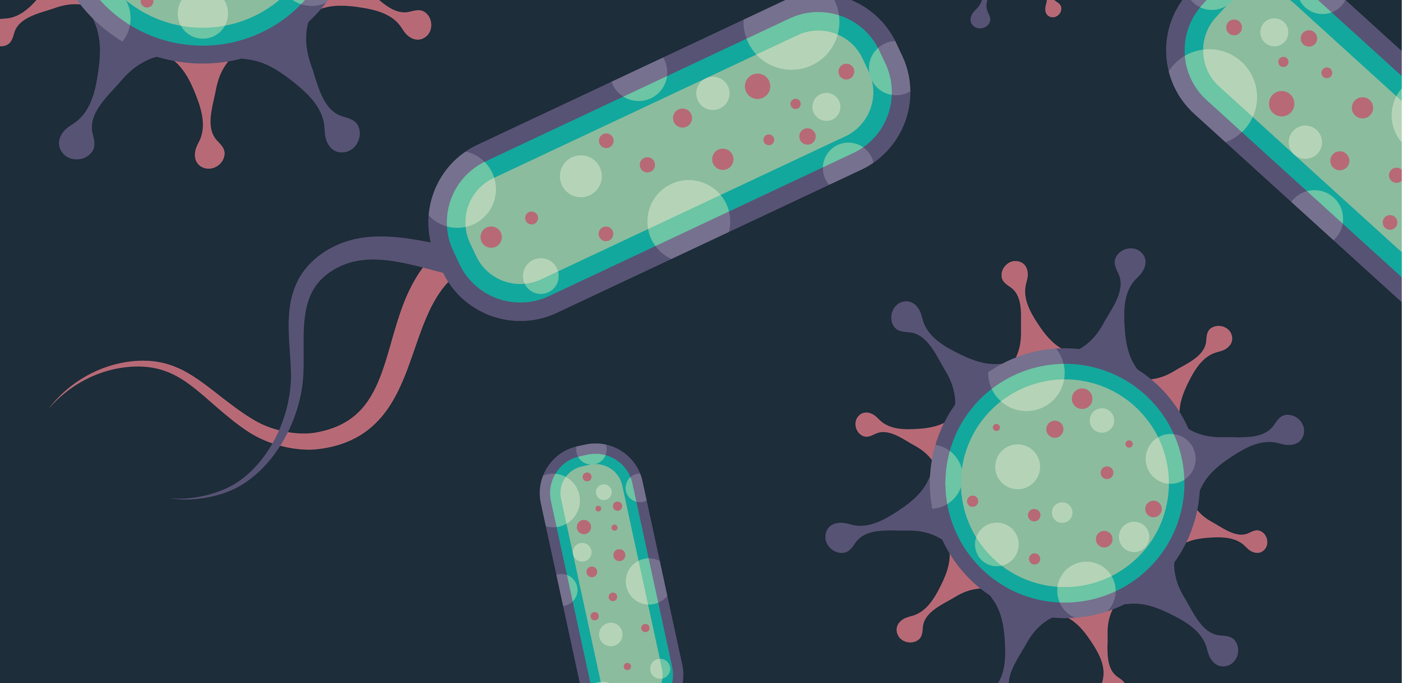 誰是芽胞桿菌中的“運(yùn)動健將”？