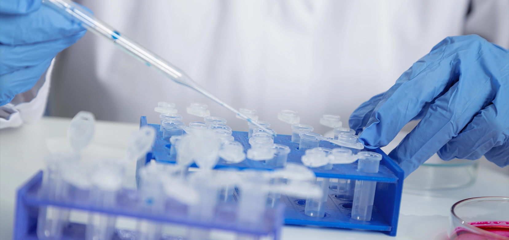 北京陸橋邀請(qǐng)您參加2025 AOAC食品檢測(cè)技術(shù)與標(biāo)準(zhǔn)研討會(huì)（2025年3月·深圳）